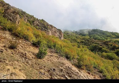ایران زیباست؛ طبیعت پاییزی - گیلان