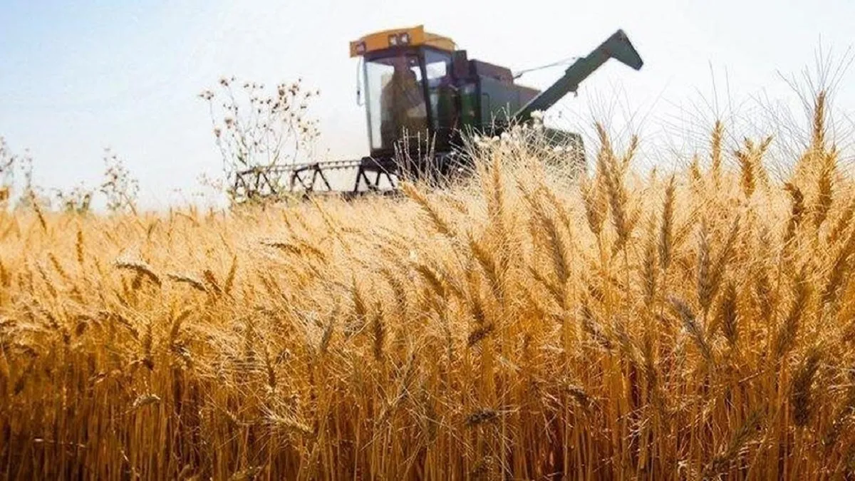 اگر قیمت جهانی گندم رایگان هم باشد، باز هم اجازه واردات گندم نمی‌دهیم!