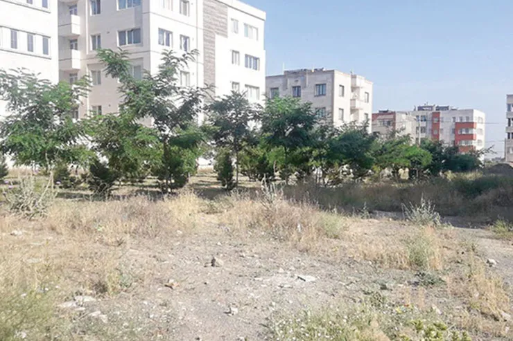 فضا‌های سبز رها شده در کوچه پس‌کوچه‌های الهیه