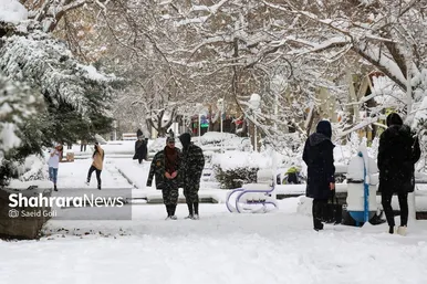 گزارش تصویری | بارش برف در مشهد