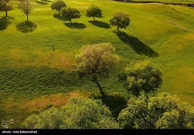 ایران زیباست | طبیعت بهاری منطقه دره اناران سپیدشت خرم آباد