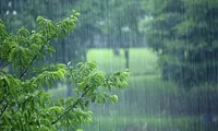 رگبار باران و خیزش گرد و خاک در نقاط مختلف کشور ماندگار شد (۷ مرداد ۱۴۰۲)