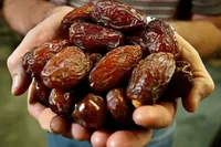 ایران سومین تولیدکننده بزرگ خرما در جهان است
