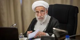 شورای نگهبان از تایید و ردصلاحیت هیچ فردی متنفع و متضرر نمی&zwnj;شود