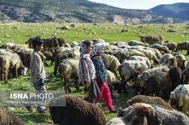 ایران زیباست | کوچ بهاری عشایر استان فارس