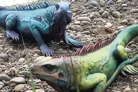 رصد فروشندگان گونه&zwnj;های غیرمجاز حیوانات در فضای مجازی