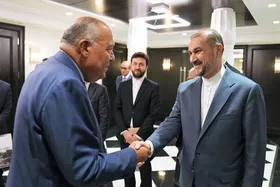 گفتگوی تلفنی امیرعبداللهیان با وزیر خارجه مصر