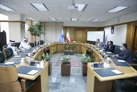 دیدار سفیر قطر با رئیس&zwnj;کل بانک مرکزی در آستانه سفر امیر قطر به ایران