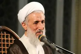 حجت&zwnj;الاسلام صدیقی: امام جواد(ع) حجت بالغه پروردگار است