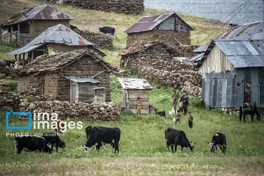 ایران زیباست | ییلاق در کوهستان
