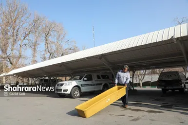 راندن در مسیر سوگ‌های ناتمام