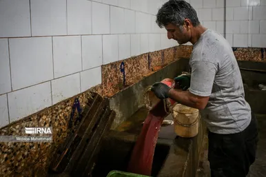 عکس‌هایی از مراحل دودی کردن ماهی