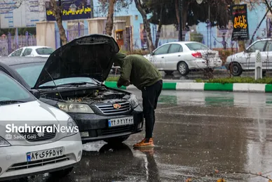 بارش باران در مشهد