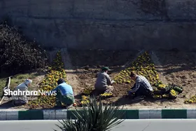 گل&zwnj;کاری در نقاط مختلف شهر مشهد