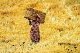 روایتی از باور&zwnj;های اساطیری درباره خوراکی&zwnj;ها در خراسان