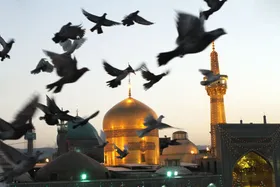 سیدجواد هاشمی: زمان مدح گذشته، امروز باید از سیره امام&zwnj;رضا(ع) فیلم ساخت