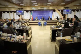 رئیس سازمان بهزیستی کشور با تشکل&zwnj;های نابینایان دیدار کرد