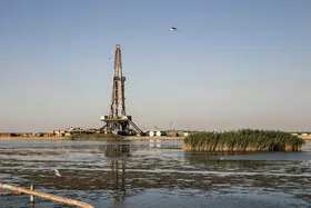 بیش از نیمی از تالاب هورالعظیم کاملا خشک شده است