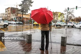 رنگ بهار در خیابان&zwnj;های شهر مشهد