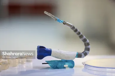 گزارش تصویری | هفدهمین نمایشگاه صنعت پلاستیک و ماشین آلات در مشهد