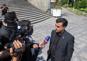رئیس محیط&zwnj;زیست: توله یوز ایرانی باید جنگنده شود| دنبال تامین جفتِ تک درنای سیبری هستیم