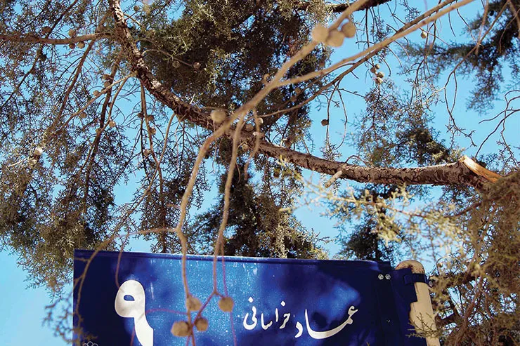 ذره ذره دِرِه عشقت تو دلُم جا می‌گیره