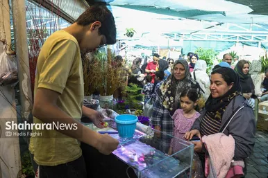 گزارش تصویری | حال و هوای بازار گل و گیاه مشهد در آستانه عید نوروز