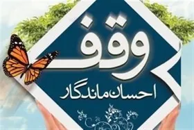 توضیحات سازمان اوقاف از وضعیت املاک وقفی