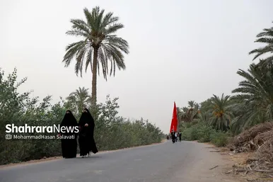 گزارش تصویری | زائران پیاده کربلا در طریق العلما