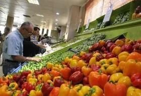 آغاز طرح کنترل و نظارت بر میادین میوه و تره&zwnj;بار از امروز