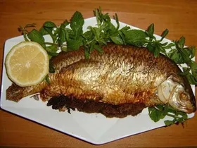 رابطه ماهی با سلامت زنان