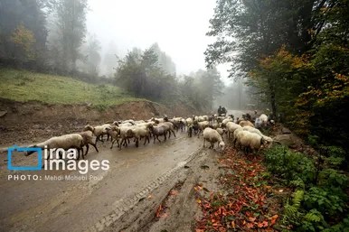 ایران زیباست | مازندران هزار رنگ