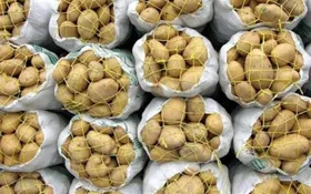 صادرات سیب&zwnj;زمینی بدون پرداخت عوارض مجاز است