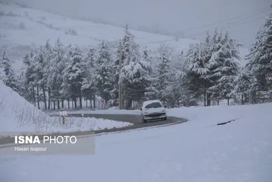 گزارش تصویری | بارش برف زمستانی در سوادکوه - مازندران