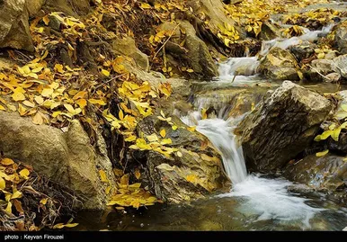 ایران زیباست | پاییز رنگارنگ کردستان