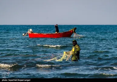 صید ماهی استخوانی - مازندران