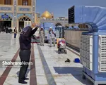 سلام آقای کربلا | روایتی از پیاده‌روی نجف تا کربلا در اربعین حسینی ۱۴۴۸