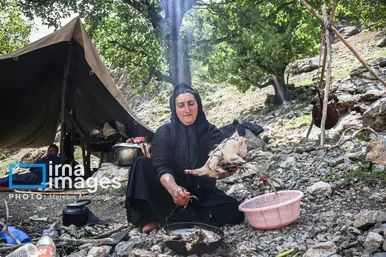 گزارش تصویری | «زندگی عشایری»