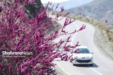 ایران زیباست | «ارغوان» پنجه‌ی خونین زمین