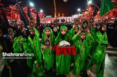 اربعین حسینی در کربلای معلی (۲)