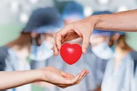 افزایش هفتاددرصدی شمار اعضای پیوندشده از بیماران مرگ مغزی در مشهد (۲۷ تیر ۱۴۰۳)