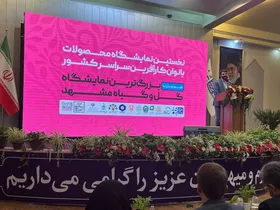 وزیر تعاون، کار و رفاه اجتماعی: برای توانمندسازی مشاغل خانگی حاشیه شهر مشهد مساعدت مالی خواهیم کرد