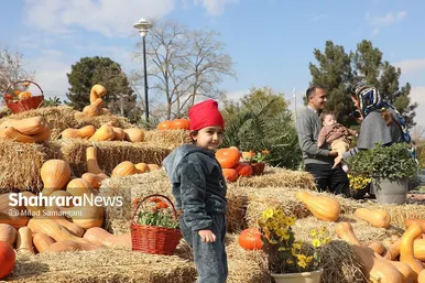 جشنواره‌ی طعم و رنگ پاییز