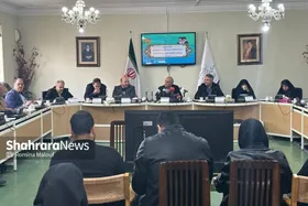 برگزاری نخستین نشست خبری مدیرکل فرهنگ و ارشاد اسلامی خراسان رضوی | ۳۲ فیلم از جشنواره چهل&zwnj;وسوم فجر در مشهد اکران می&zwnj;شود + فیلم