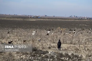 گزارش تصویری | سدهای تشنه استان گلستان - دی ماه ۱۴۰۴