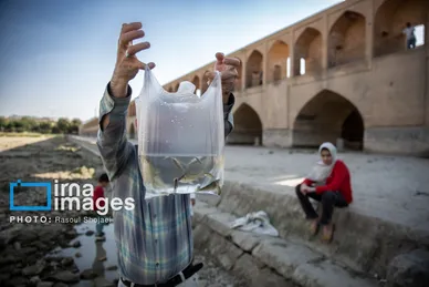 گزارش تصویری | نفس‌های آخر...