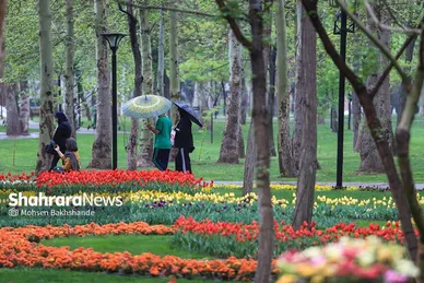 گزارش تصویری | جشنواره گل‌های لاله در مشهد