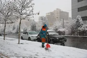 توزیع لباس &nbsp;و تجهیزات زمستانه در میان پاکبانان مشهدی زودتر از سال&zwnj;های گذشته