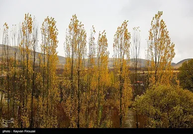 ایران زیباست | پاییز رنگارنگ کردستان
