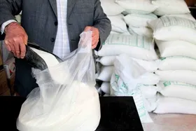 تنظیم ۱۶۷ فرم تخلف در حوزه شکر در مشهد
